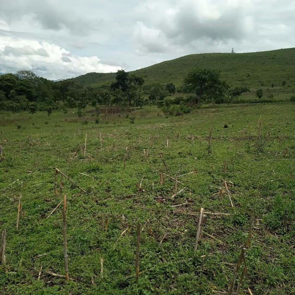 Land for sale in Ndhiwa