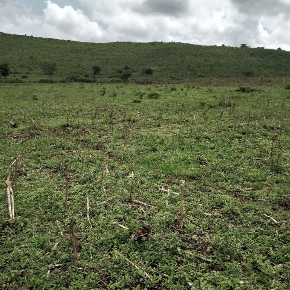 Land for sale in Ndhiwa