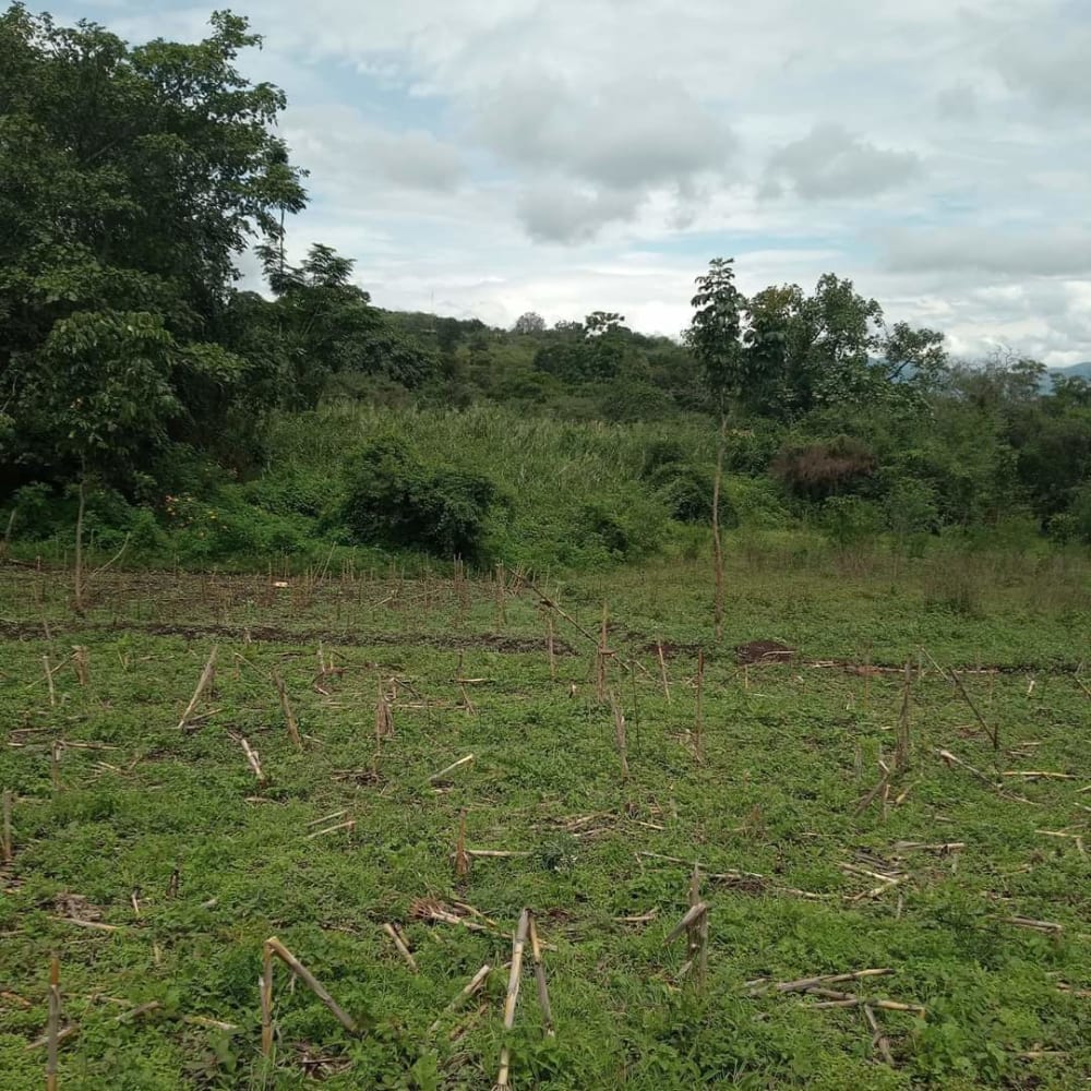 Land for sale in Ndhiwa