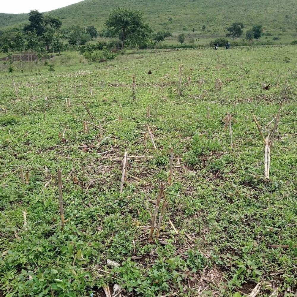 Land for sale in Ndhiwa