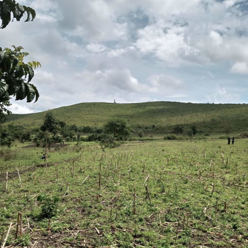 Land for sale in Ndhiwa