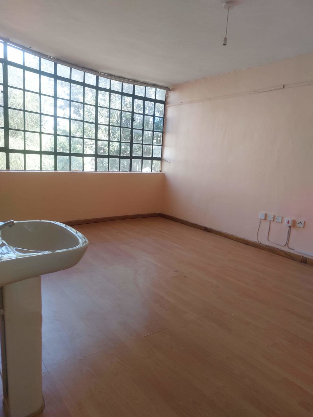 1 bedroom Apartment for rent in Thindigua 