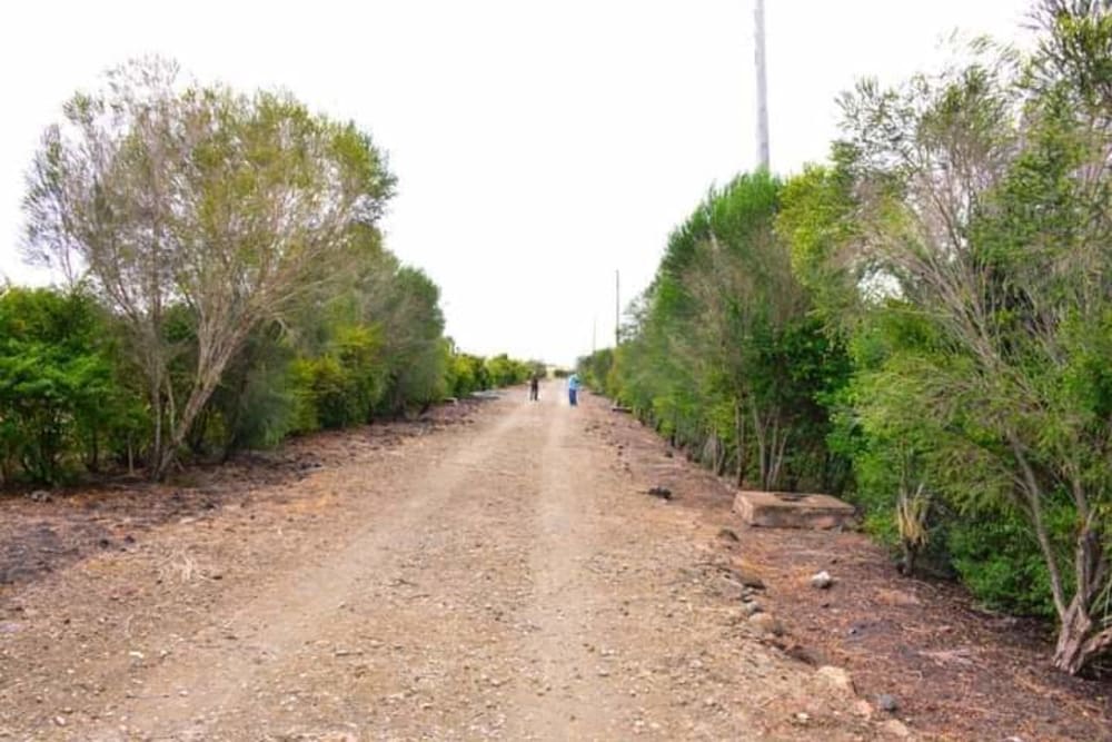 Land for sale in Kisaju, opposite Prayer Gardens