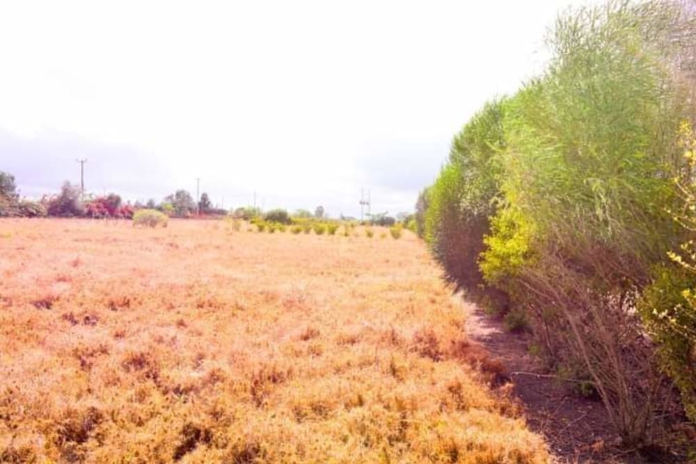 Land for sale in Kisaju, opposite Prayer Gardens