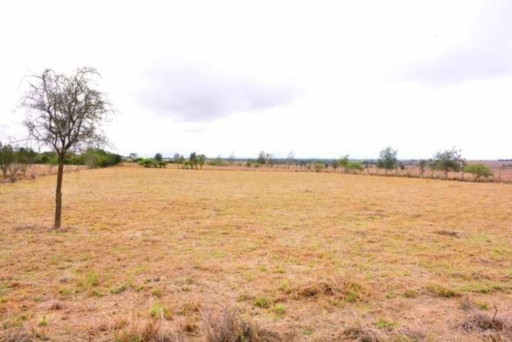 Land for sale in Kisaju, opposite Prayer Gardens