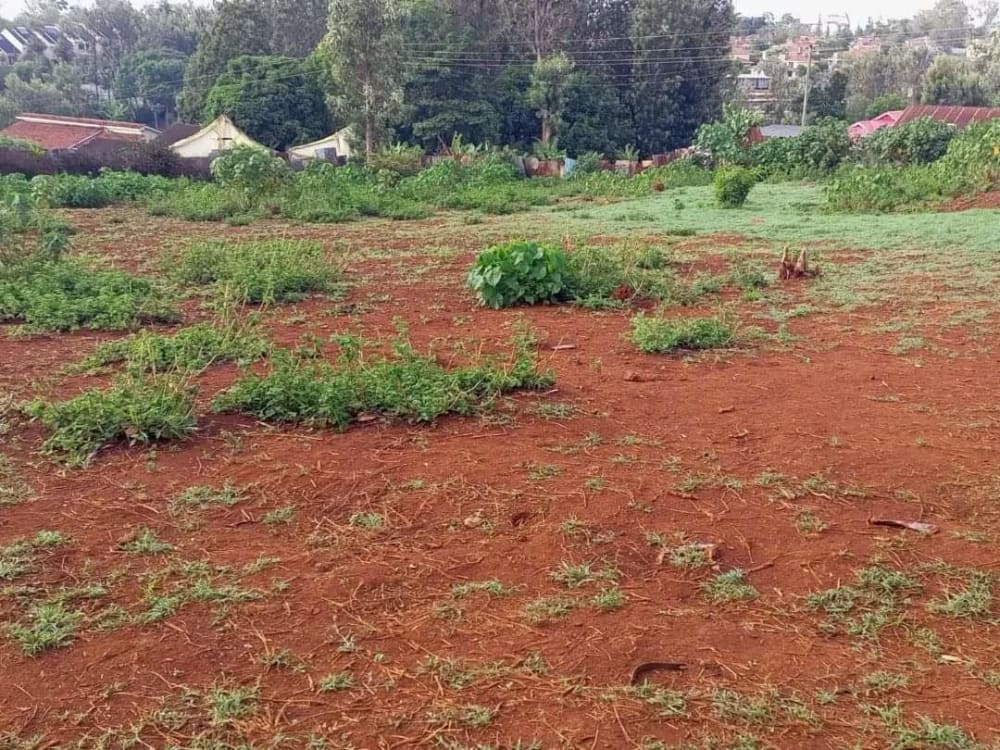 Land for sale in Thindigua, Kiambu County, Kenya