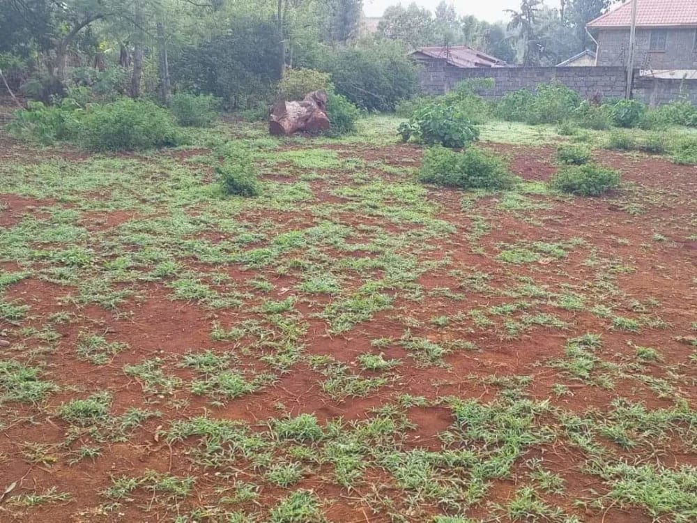 Land for sale in Thindigua, Kiambu County, Kenya