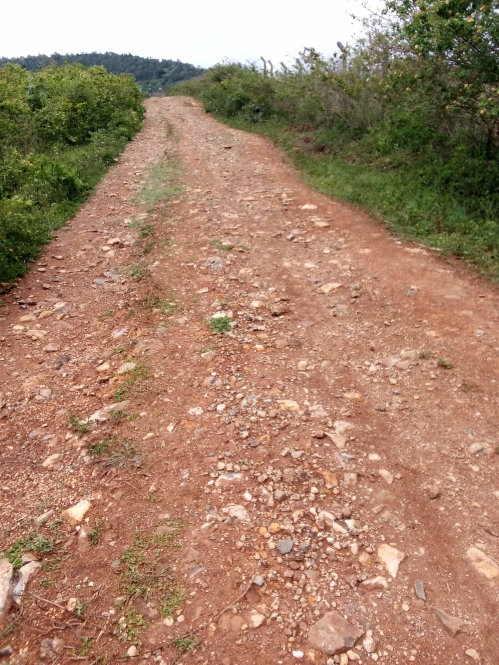 Land for sale in Riat hills, Kisumu