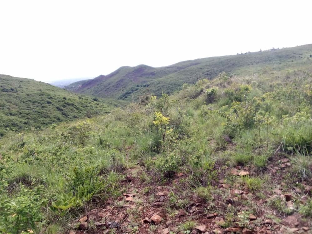 Land for sale in Riat hills, Kisumu