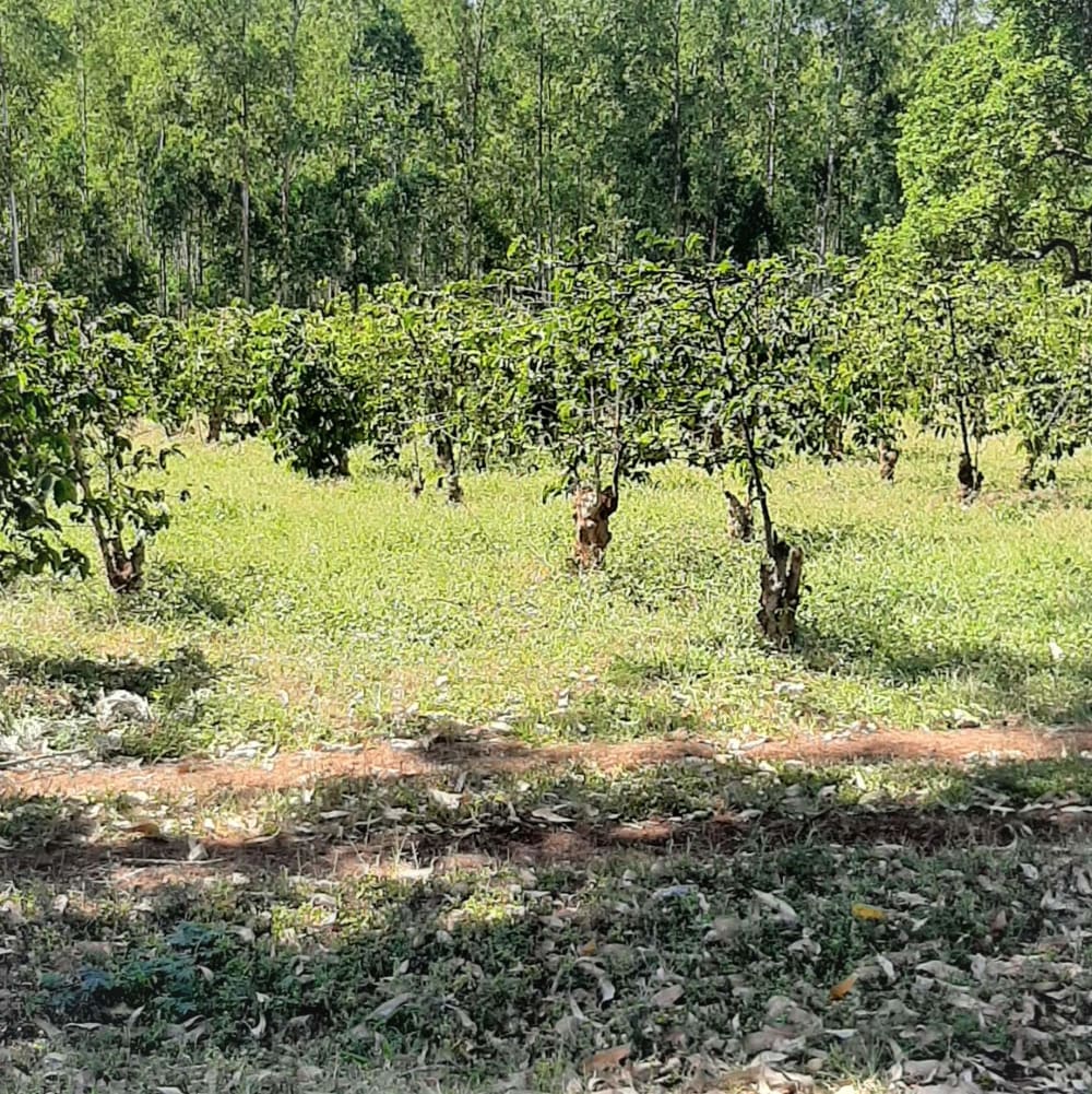 Land for sale in Makuyu,  Murang'a County 