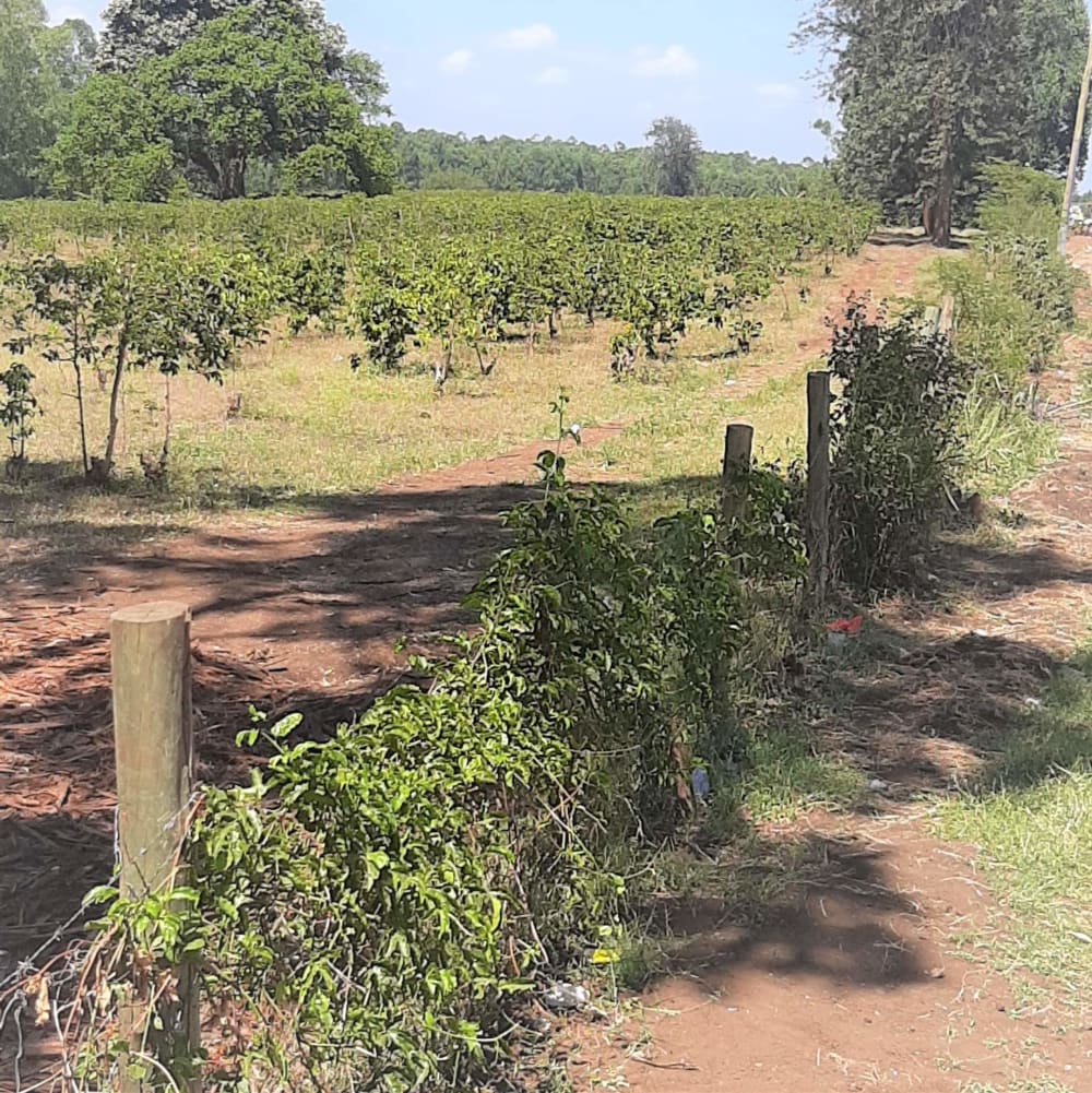 Land for sale in Makuyu,  Murang'a County 