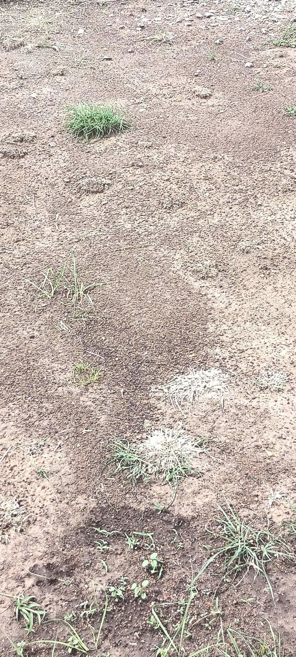 Land for sale in Murera, Ruiru