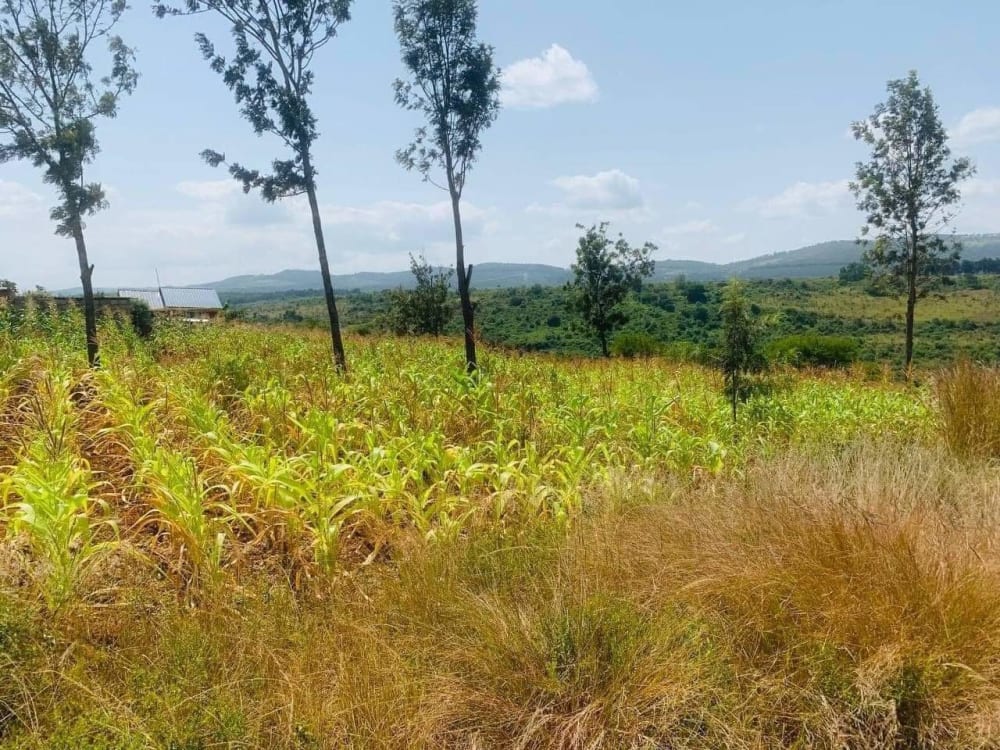 Land for sale in Ngoliba, Thika