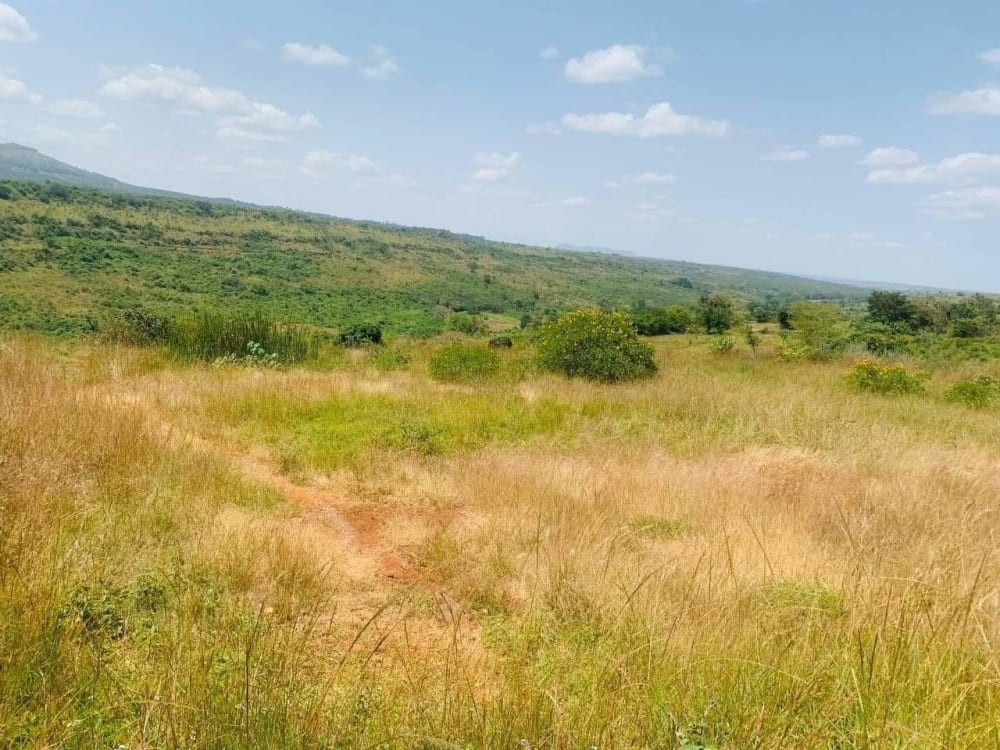 Land for sale in Ngoliba, Thika