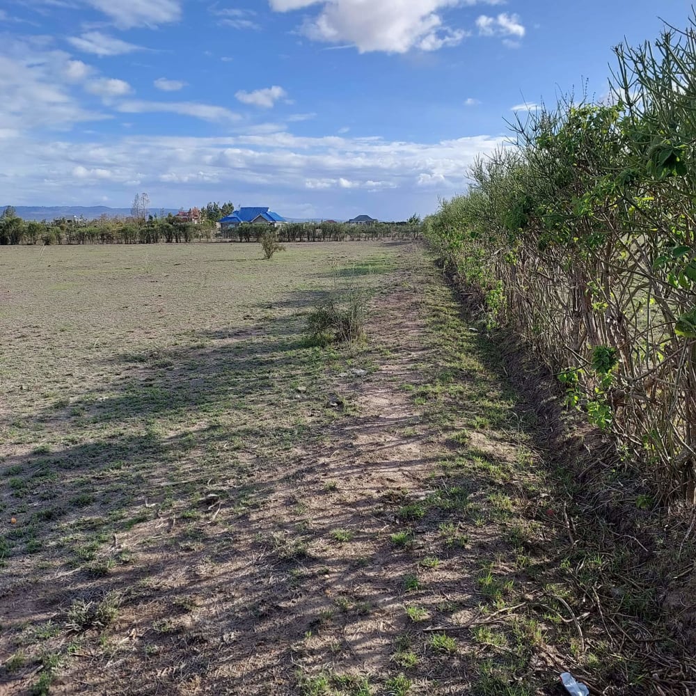 Land for sale in Kausiani, 4km from Joska Town