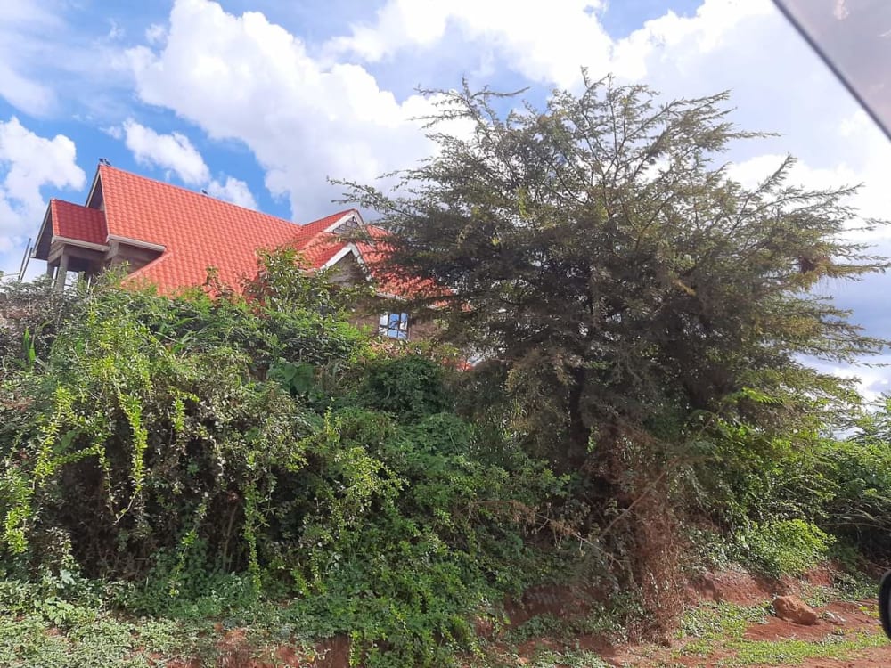 Land for sale in Kilimambogo 