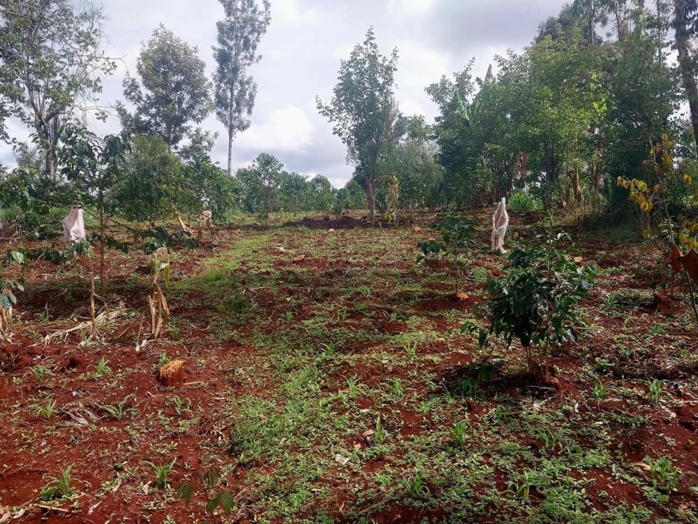 Land for sale in Ruiru, Githunguri