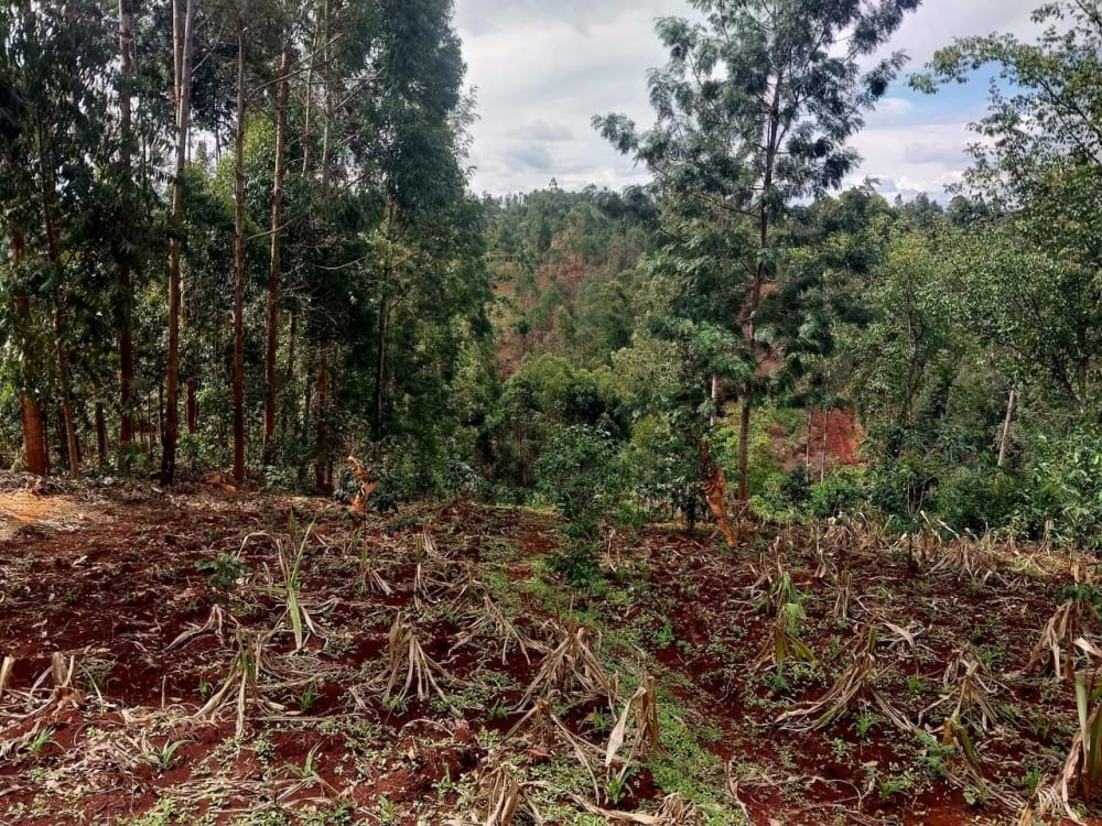 Land for sale in Ruiru, Githunguri