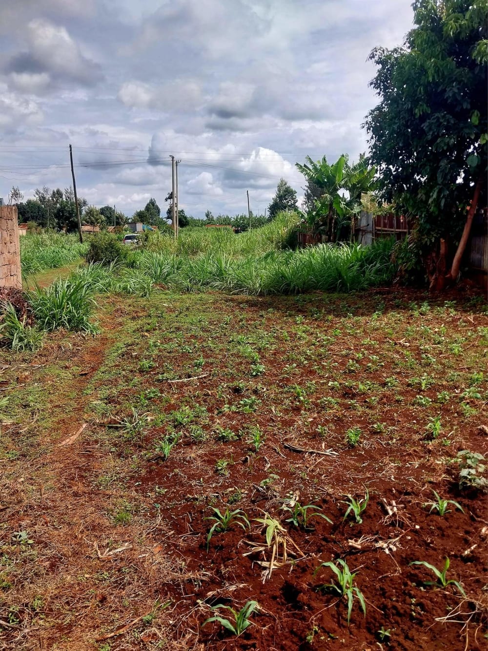 Land for sale in Ruiru, Githunguri