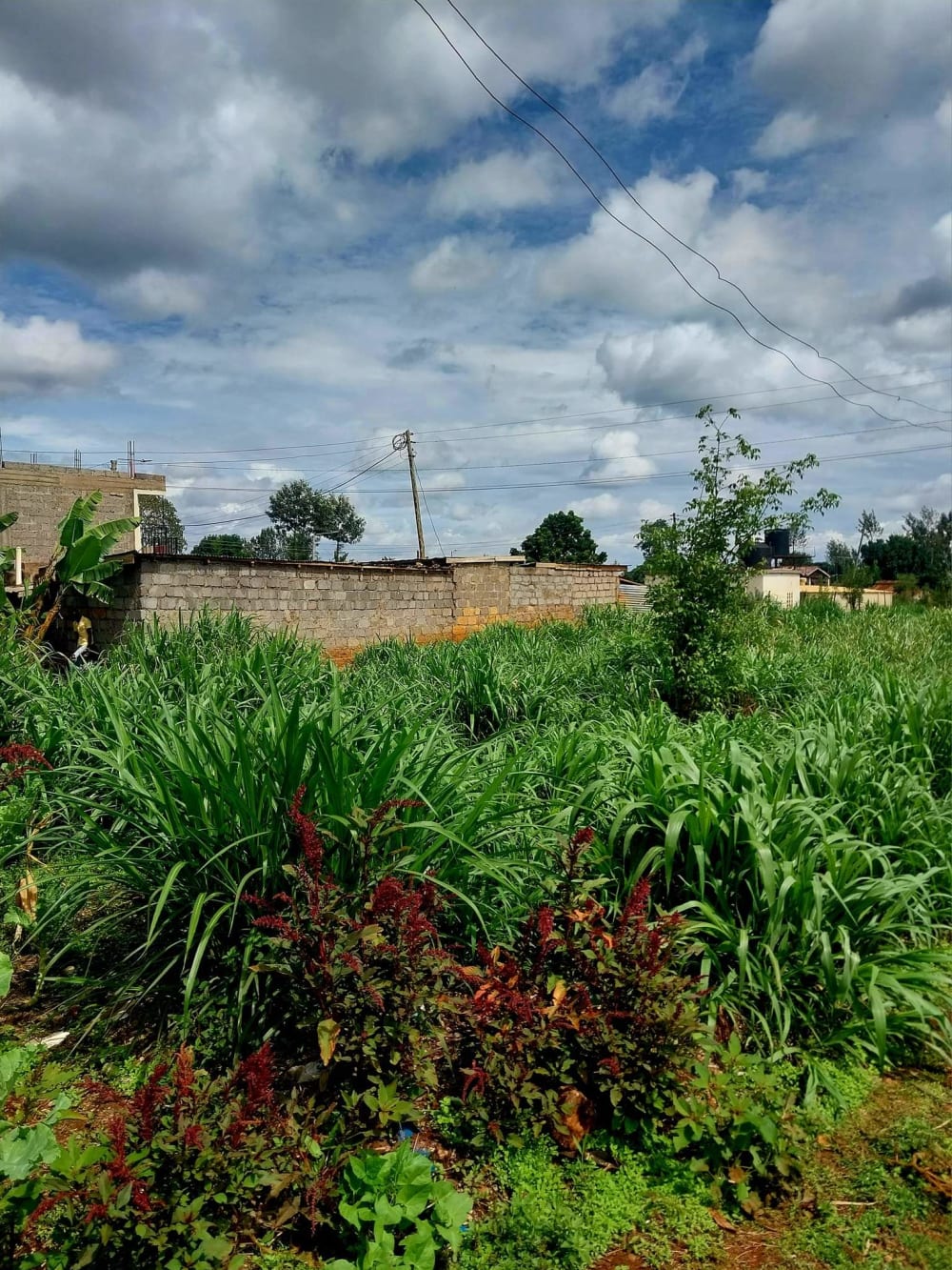 Land for sale in Ruiru, Githunguri