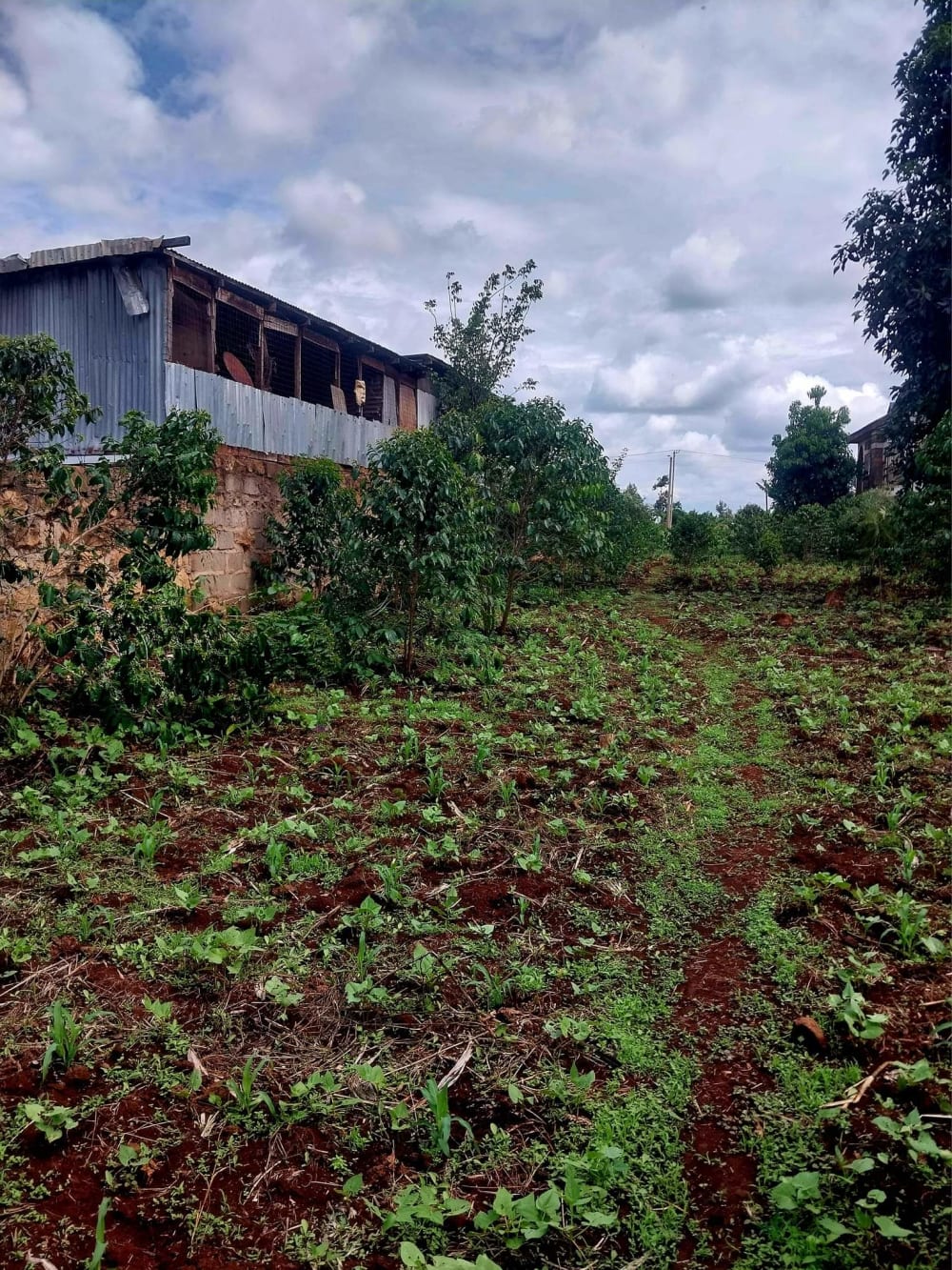 Land for sale in Ruiru, Githunguri