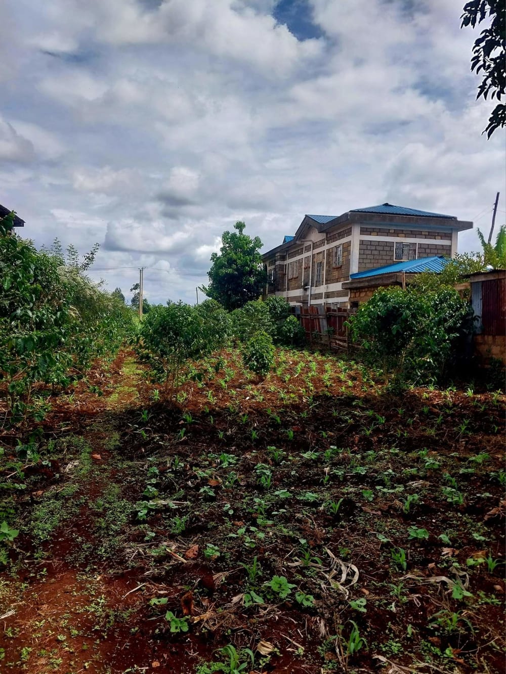 Land for sale in Ruiru, Githunguri