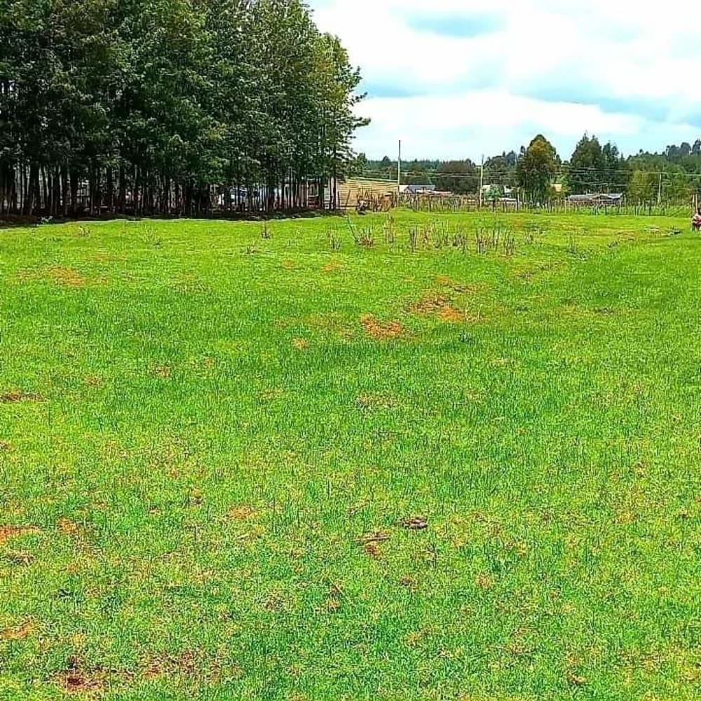 Land for sale in Nyahururu 