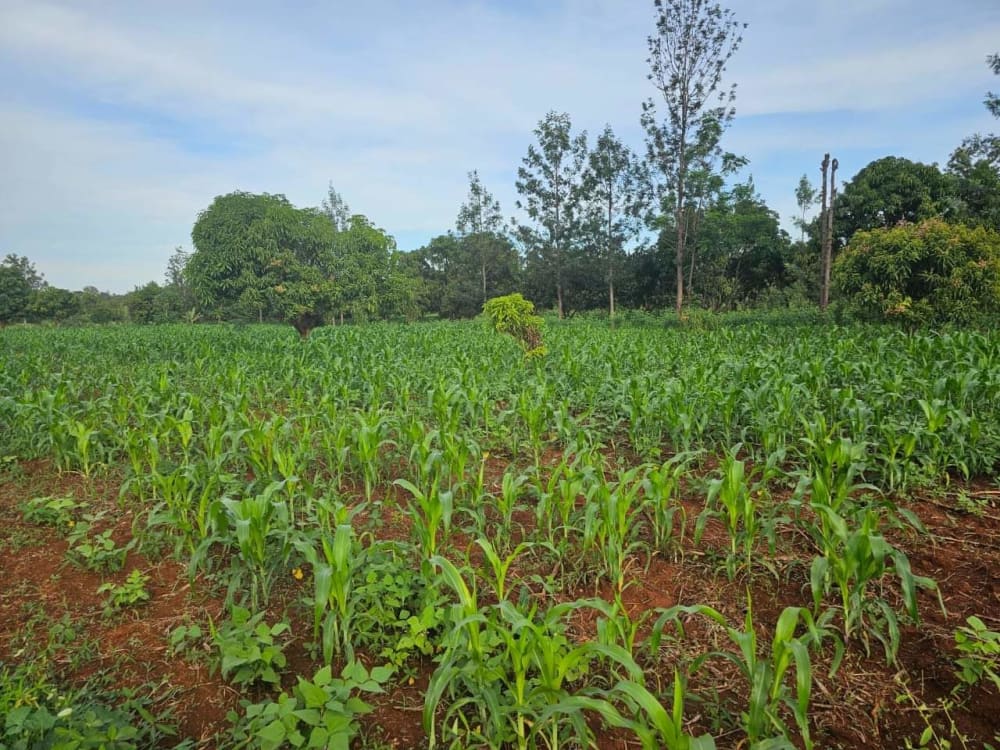 Land for sale in Makutano 