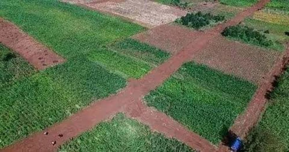Land for sale in Nakuru 