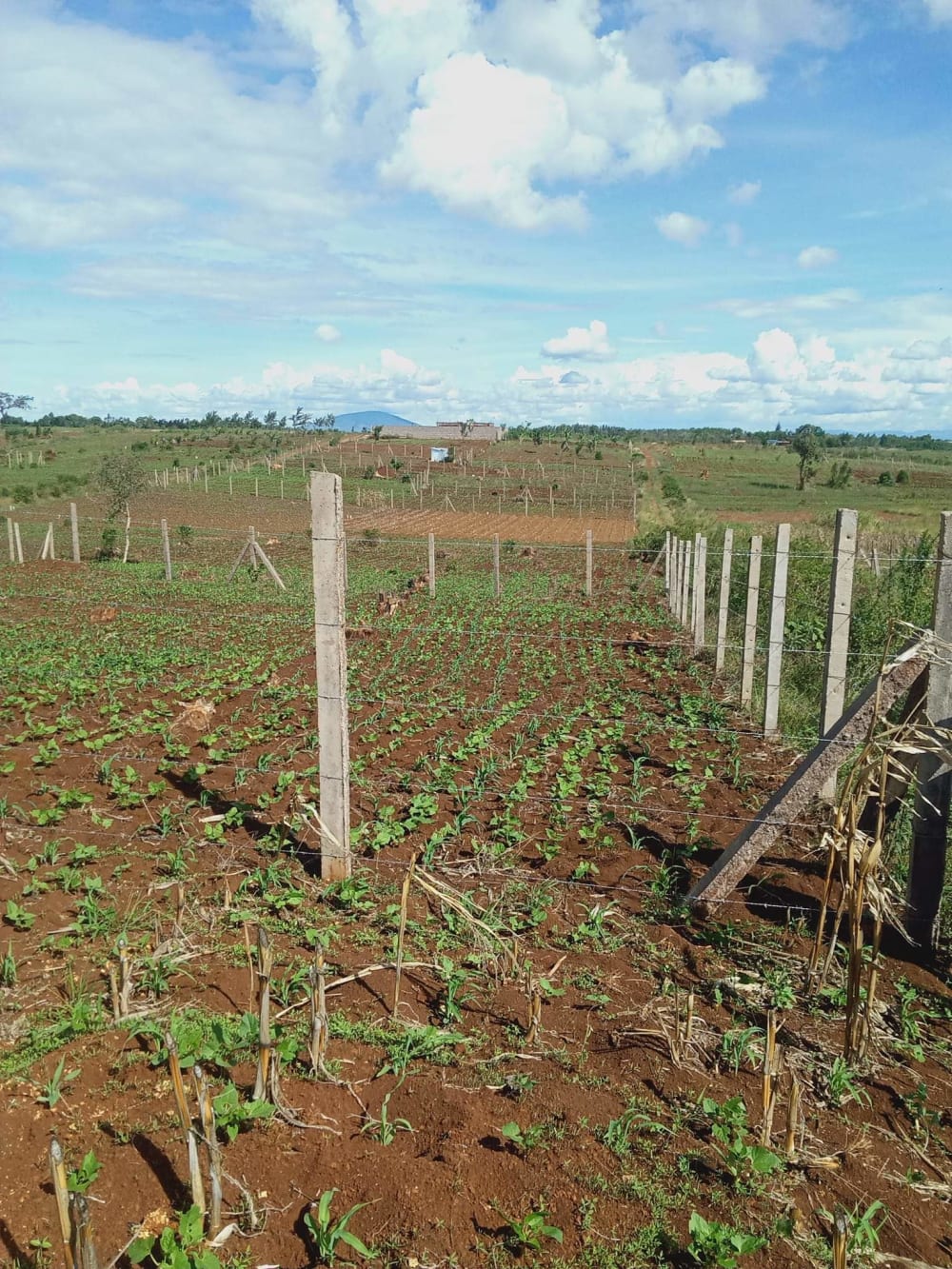 Land for sale in Thika Greens, Kenol