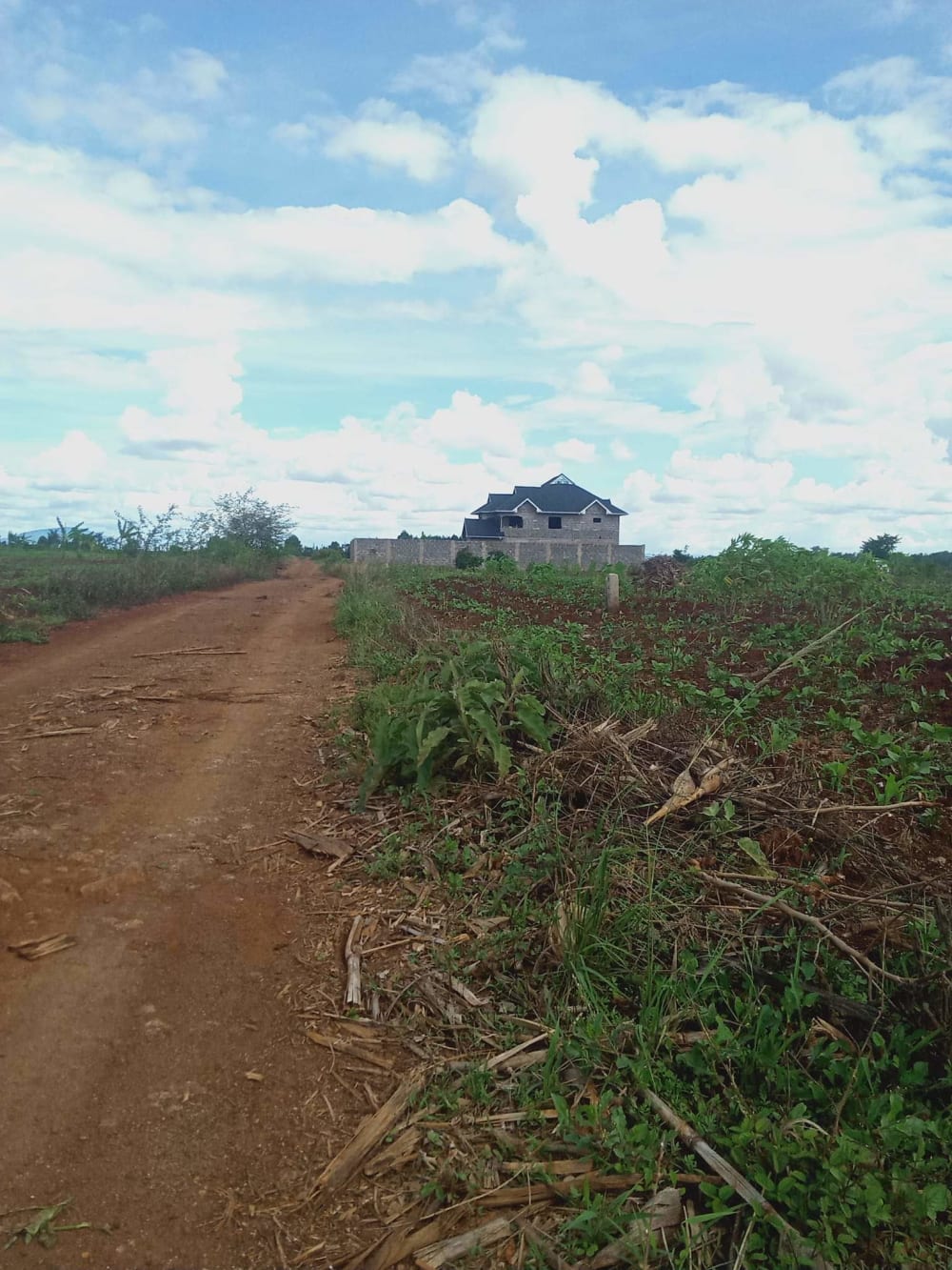Land for sale in Thika Greens, Kenol