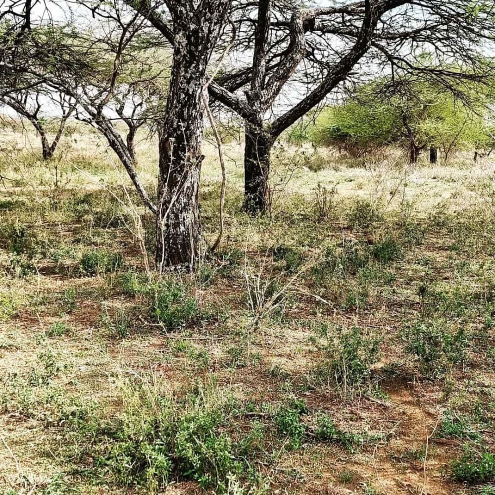 Land for sale in Kajiado Acres 