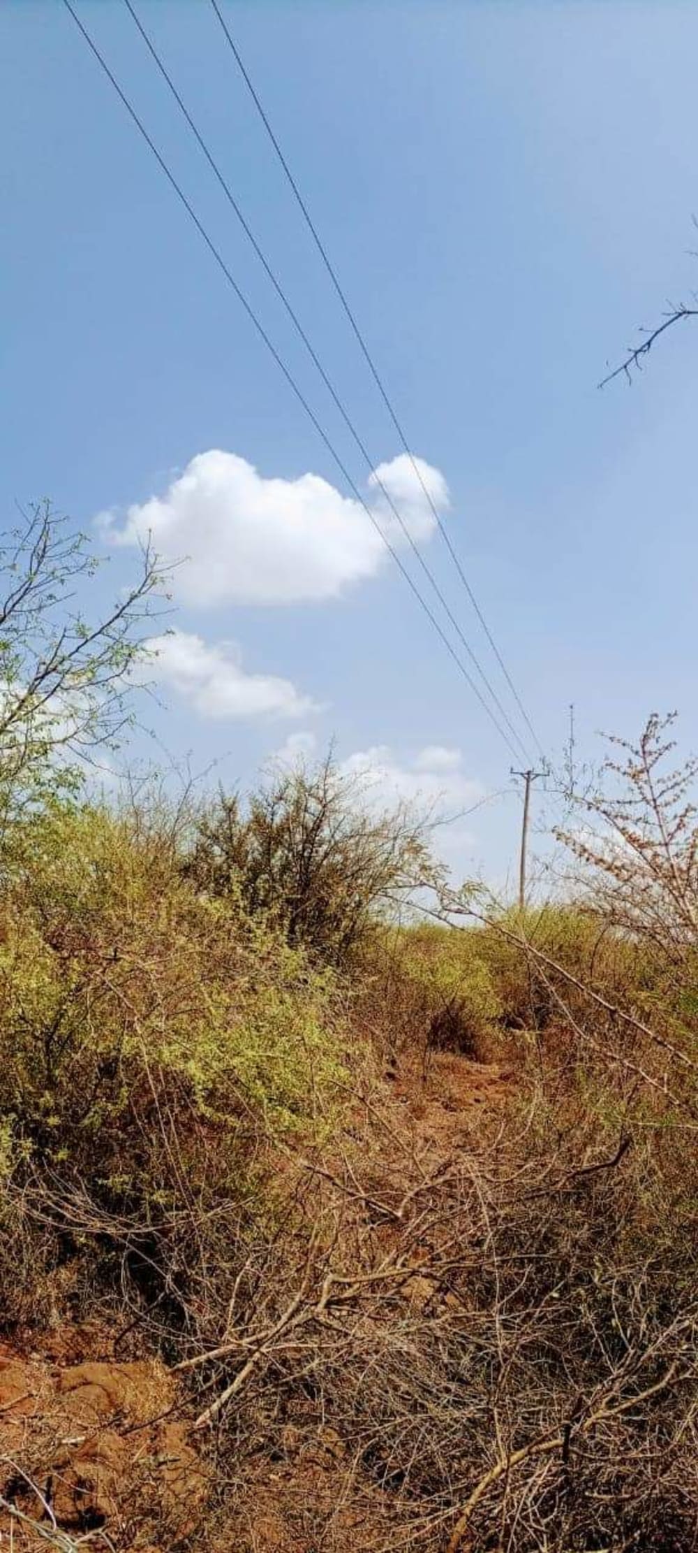 Land for sale in Kajiado Acres 