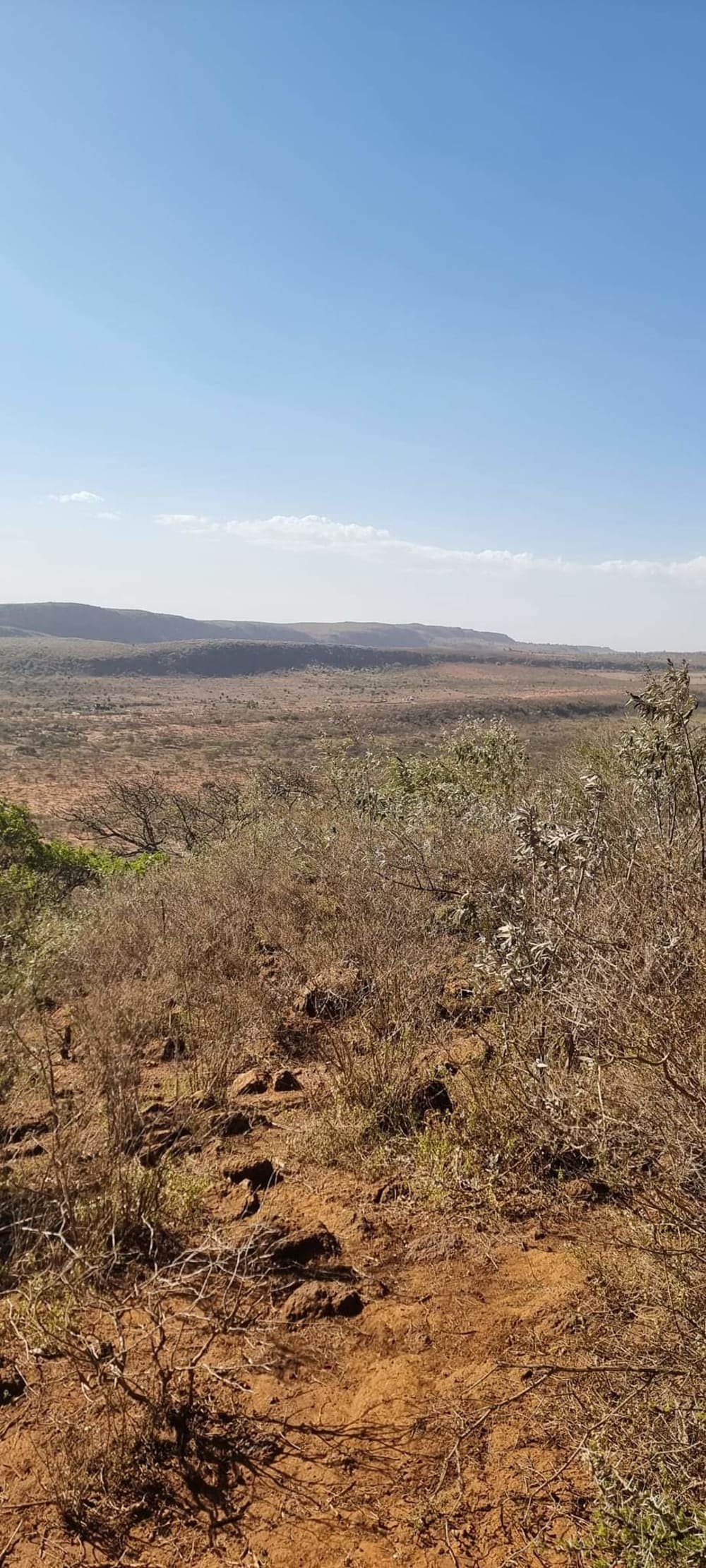 Land for sale in Kajiado Acres 