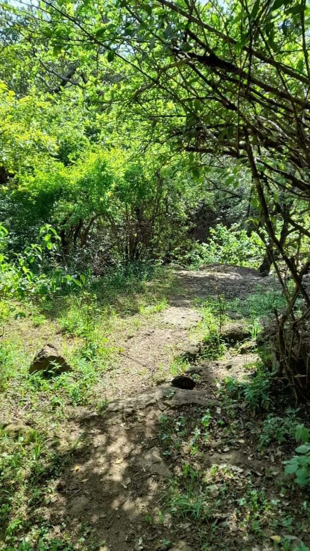 Land for sale in Kajiado Acres 