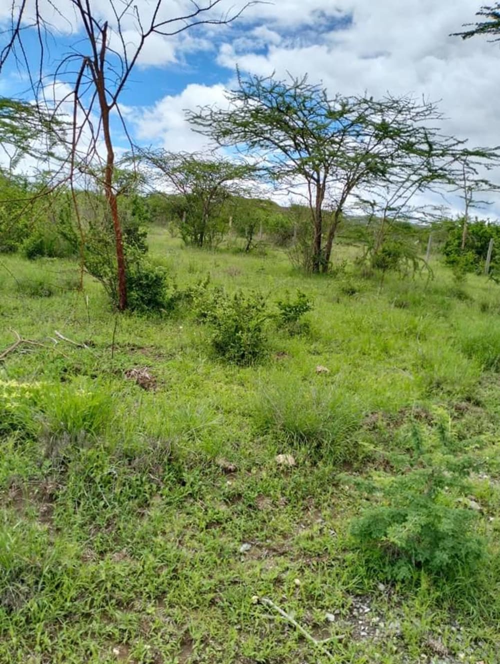 Land for sale in Lukenya 