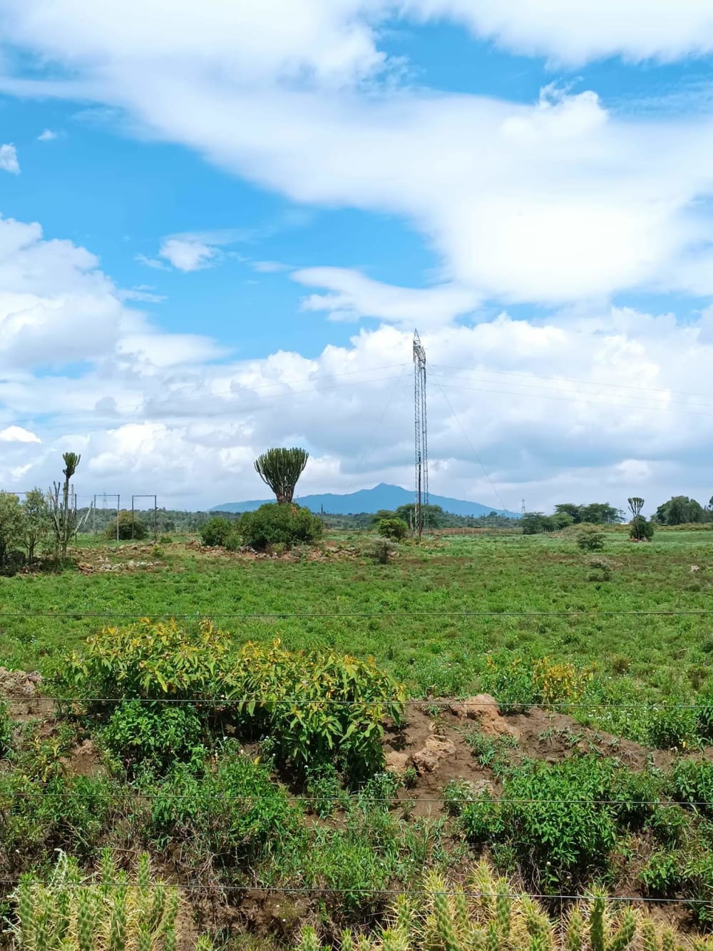 Land for sale in Nakuru 