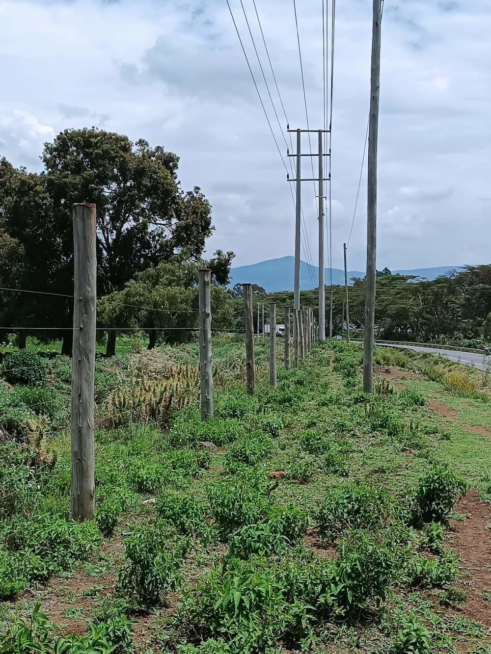 Land for sale in Nakuru 