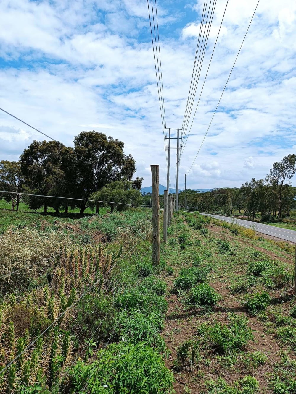 Land for sale in Nakuru 