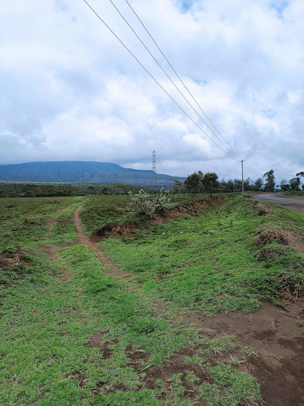 Land for sale in Naivasha-Maaimahiu Highway
