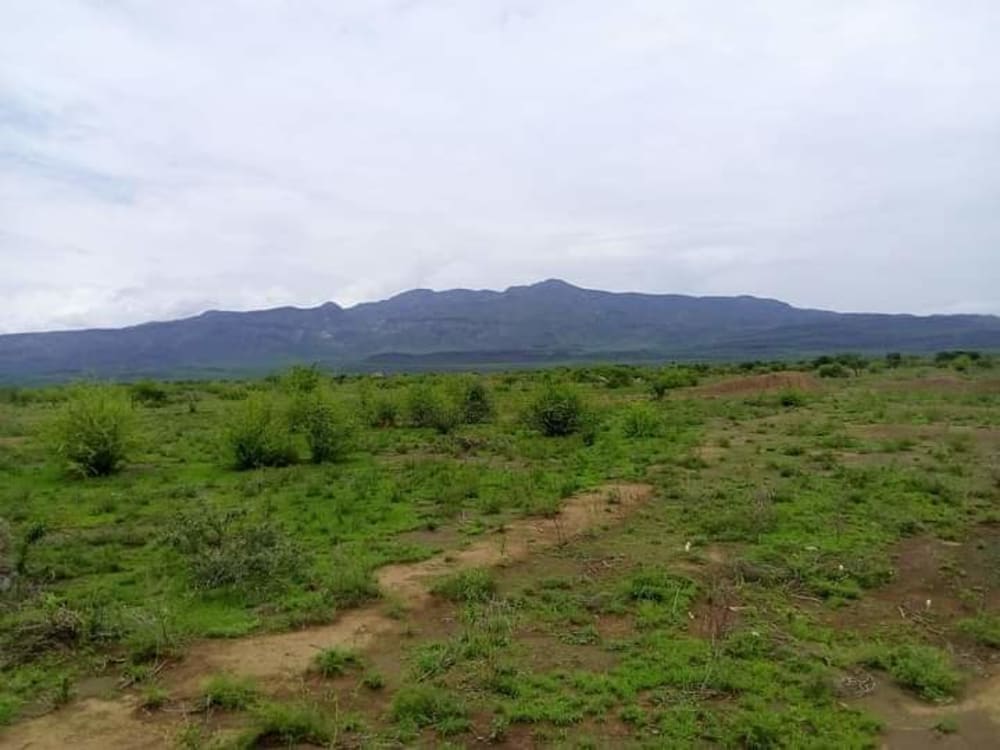 Land for sale in Oletepesi, Tinga