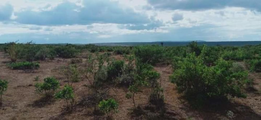 Land for sale in Oletepesi, Tinga