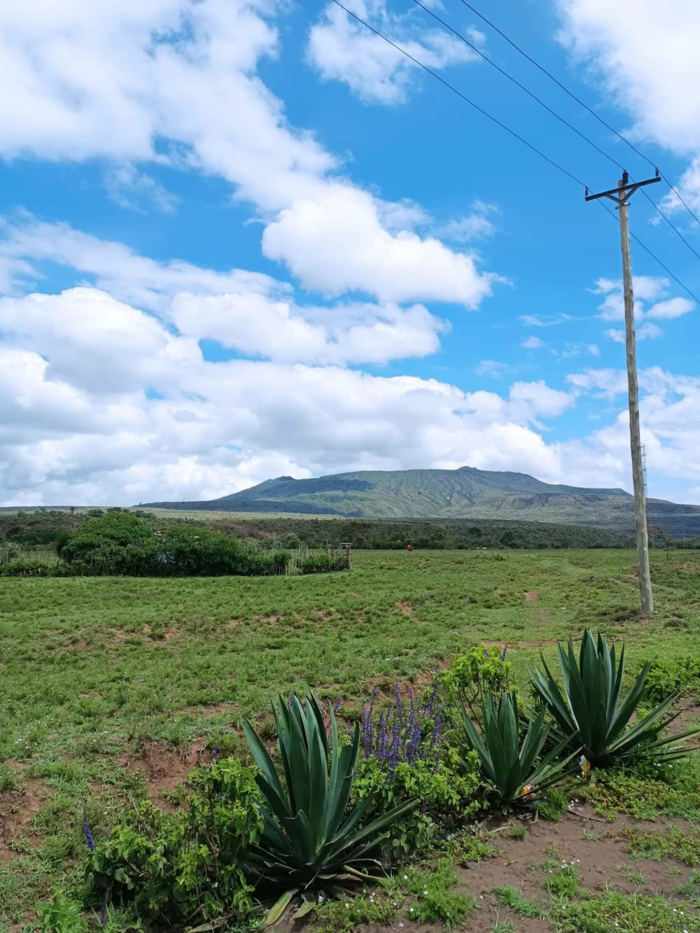 Land for sale in Longonot, Nakuru  County 