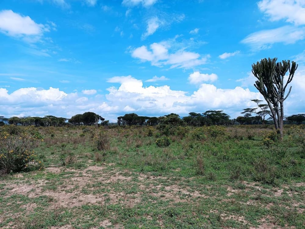 Land for sale in Naivasha 