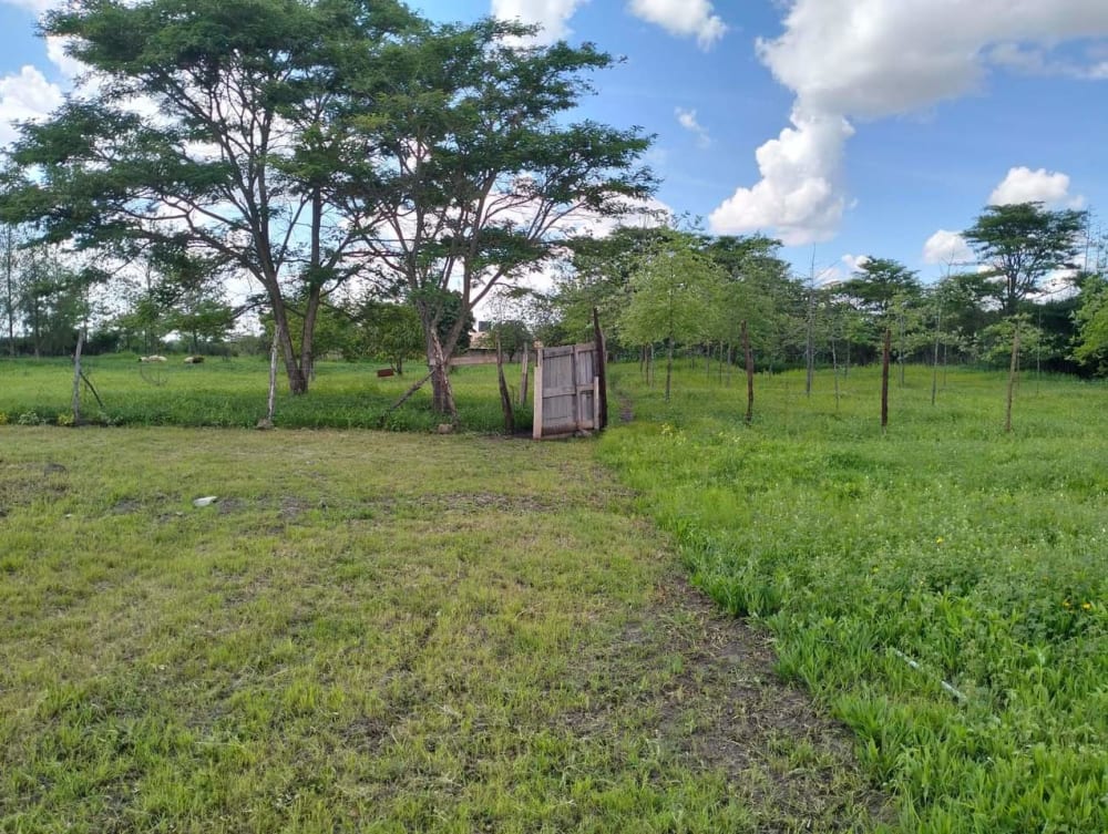 Land for sale in Juja Farm