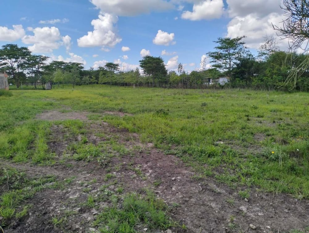 Land for sale in Juja Farm