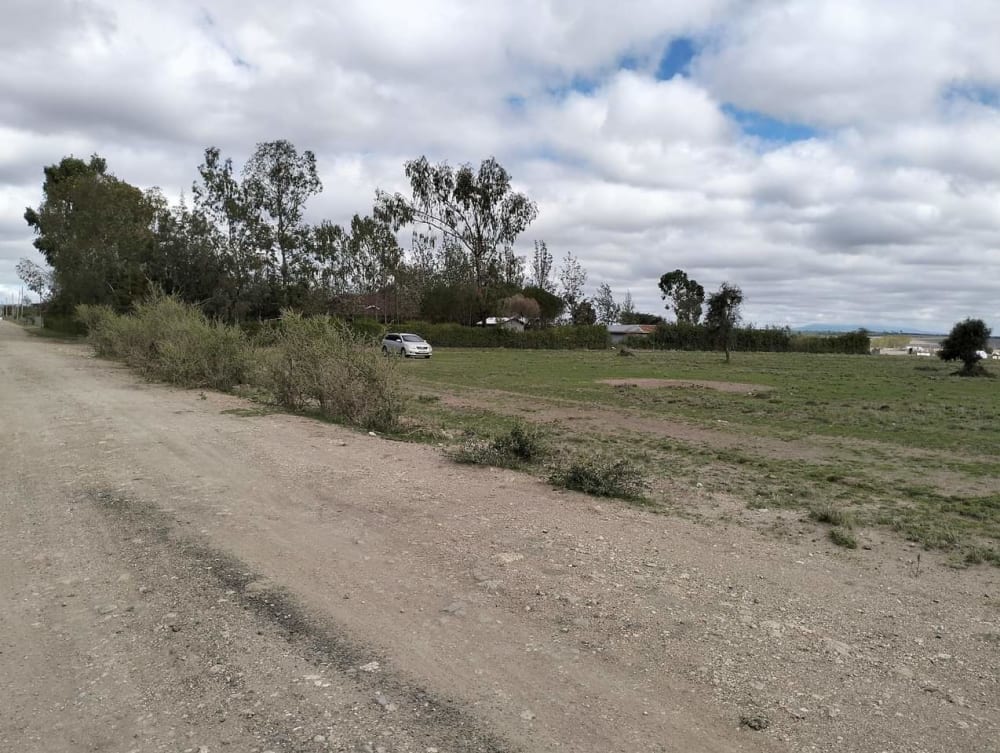 Farm for sale in Isinya