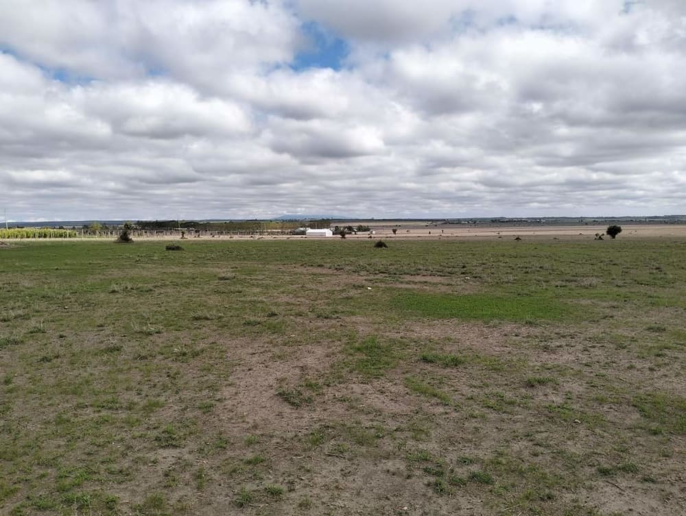 Farm for sale in Isinya