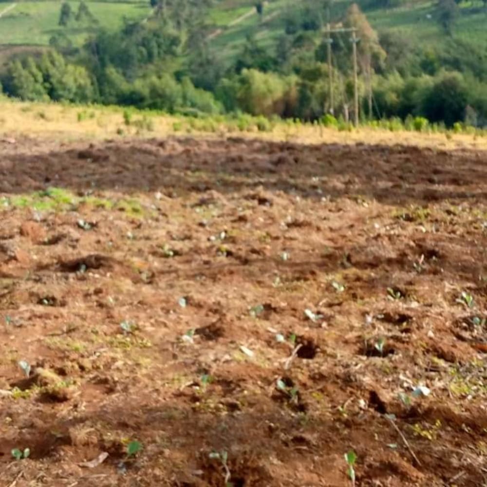 Land for sale in Keiyo South