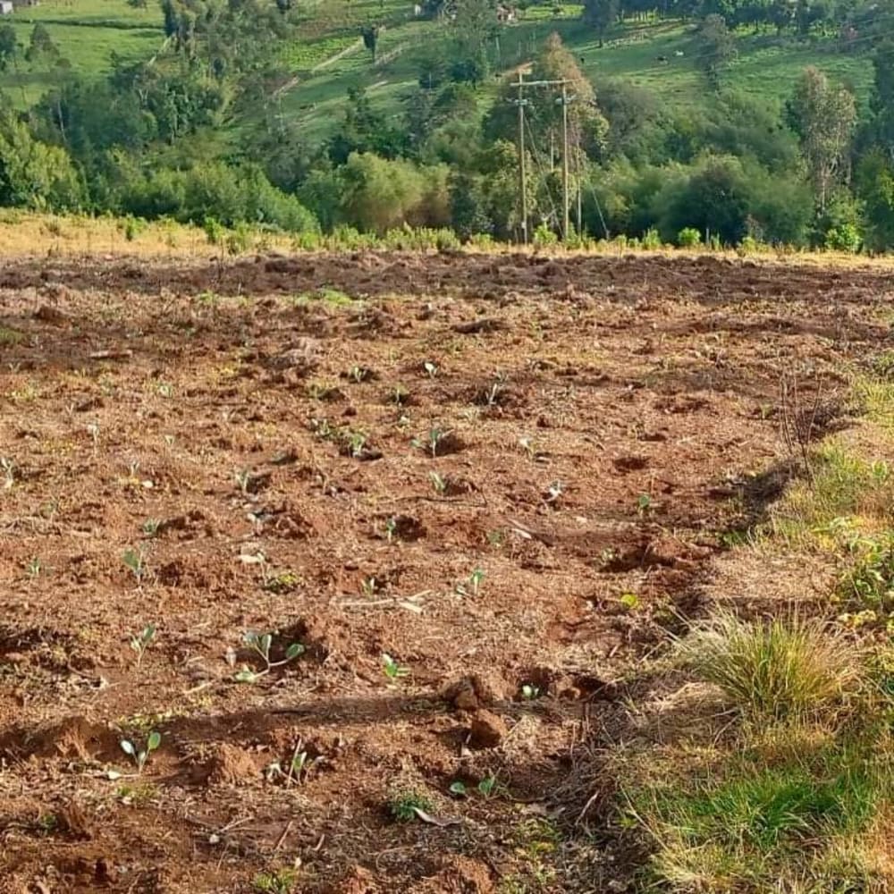 Land for sale in Keiyo South